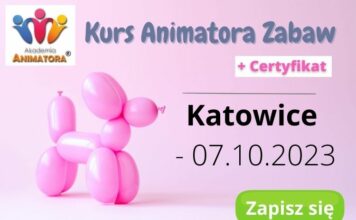 Katowice Kurs Animatora – 07.10.2023 – Zapisz się