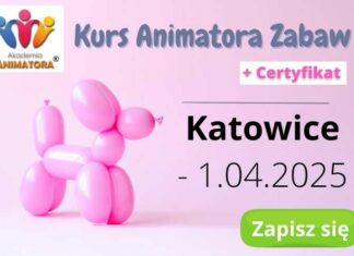 Kurs Animatora Katowice 2025