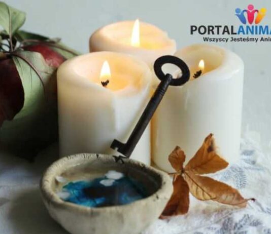 Wróżby Andrzejkowe - PortalAnimatora.pl