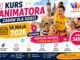 Kurs Animatora Zabaw dla Dzieci — Kraków, 14 maja 2026 | Akademia Animatora®