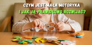 Mała dziewczynka bawi się filcowymi zwierzątkami na spinaczach, ćwicząc małą motorykę i sprawność manualną dłoni